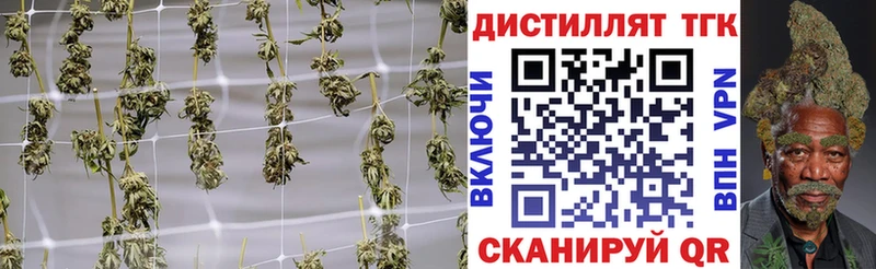 Купить где Сурск ТГК гашишное масло